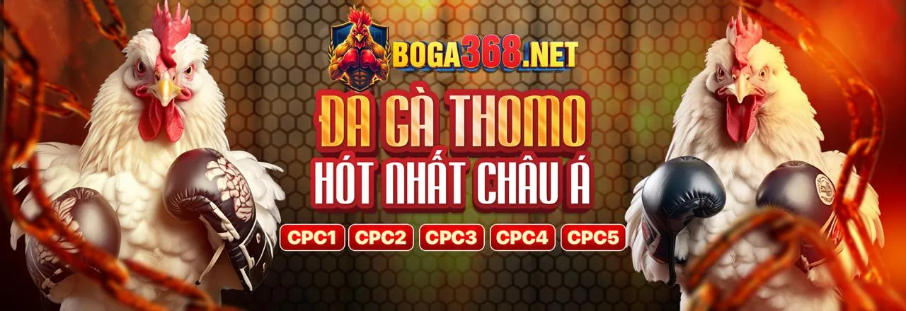 Sân đấu đá gà trực tuyến kịch tính tại ban ca rong 68